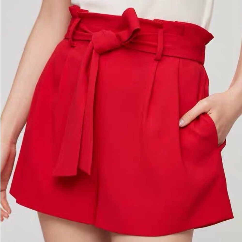 Aritzia Wilfred Short 66988